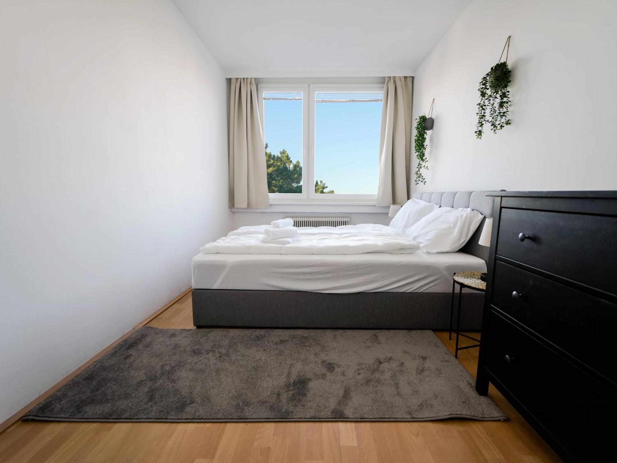 Spacious Apartments With View & Free Parking Wiener Neustadt Dış mekan fotoğraf