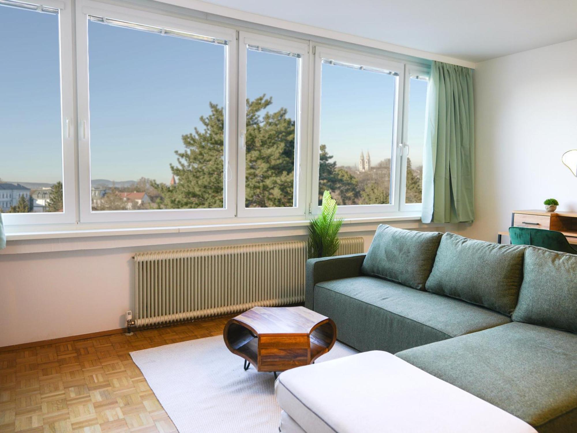 Spacious Apartments With View & Free Parking Wiener Neustadt Dış mekan fotoğraf